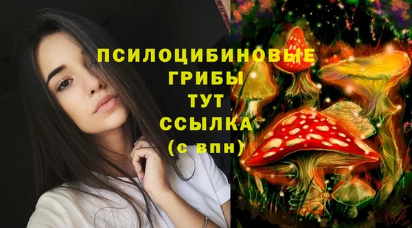 кокс Абинск