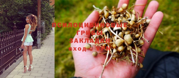 кристаллы Алзамай
