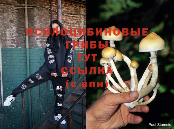 гашиш Абаза
