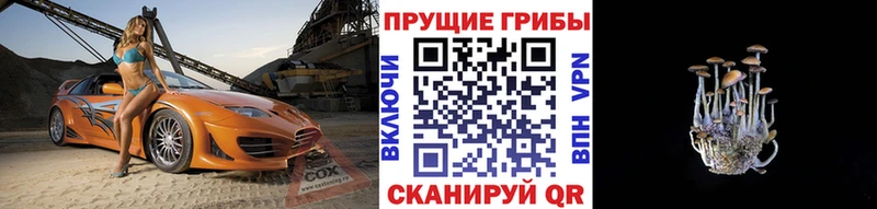 Псилоцибиновые грибы прущие грибы  где найти наркотики  Нариманов 